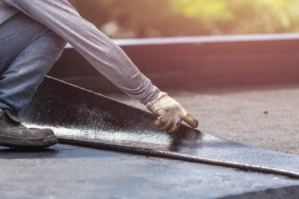 Professional Interior Drainage System technician working in Dale, PA